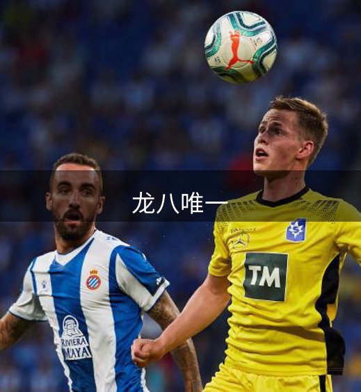 公司价值理念